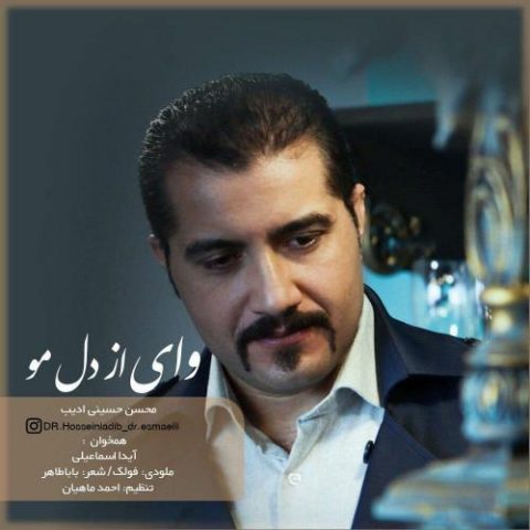 دانلود آهنگ جدید محسن حسینی ادیب با عنوان وای از دل مو